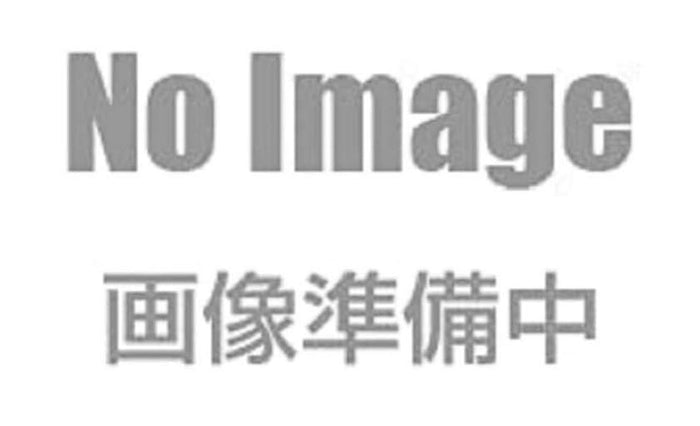 Bushiroad Creative Granblue Fantasy Vol.1 Collection Figure Rich Box Ver.- Japan Figure Store - #1 Bring To You The Best Japanese Goods