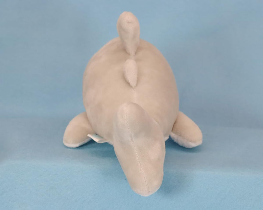San-X Hatayama Shoji Marine Shark Plush Toy S- Japan Figure Store - #1 Bring To You The Best Japanese Goods