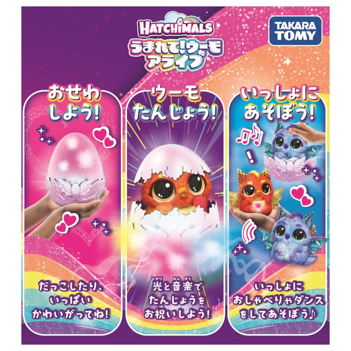 Takara Tomy Hatchimals Alive Dragul Interactive Toy with Motion Features- Japan Figure Store - #1 Bring To You The Best Japanese Goods
