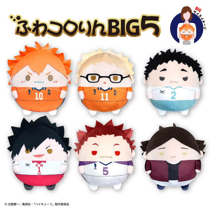 Max Limited Hq-96 Haikyu Fuwakororin Matsukawa Issei Plush - Big 5 Collection- Japan Figure Store - #1 Bring To You The Best Japanese Goods
