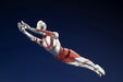 Kotobukiya Shin Ultraman Model 185mm Non-Scale Plastic Figurine- Japan Figure Store - #1 Bring To You The Best Japanese Goods
