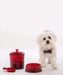 Le Creuset Orange Pet Food Container with Scoop for Dogs and Cats Japan Official- Japan Figure Store - #1 Bring To You The Best Japanese Goods
