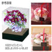 Lupine Large Preserved Flower Case with 3D Mount and Gift Box - Made in Japan- Japan Figure Store - #1 Bring To You The Best Japanese Goods