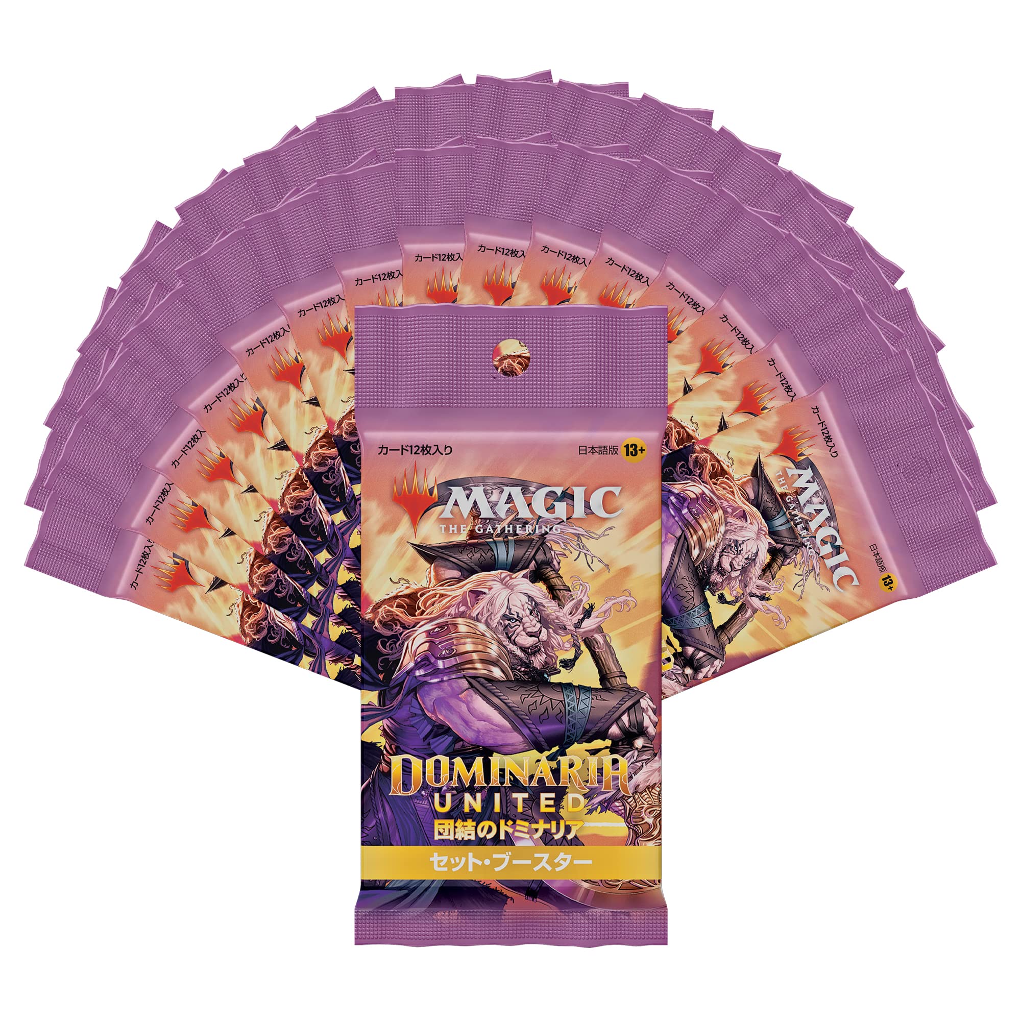 Wizards Magic The Gathering Trading Card Game Japanese Booster Solidarity Set- Japan Figure Store - #1 Bring To You The Best Japanese Goods