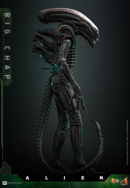 Hot Toys Movie Masterpiece Alien Big Chap Version 2.0 1/6 Scale Figure