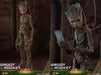 Hot Toys Movie Masterpiece 1/6 Scale Groot & Rocket Figure Avengers Infinity War- Japan Figure Store - #1 Bring To You The Best Japanese Goods