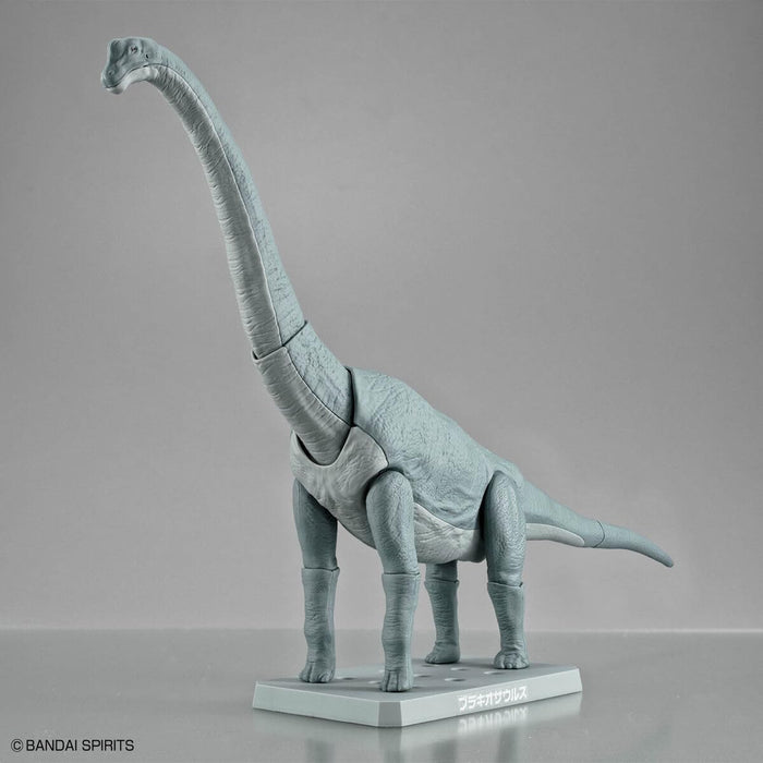 Bandai Plannosaurus Brachiosaurus Dinosaur Toy for Kids Educational Figure- Japan Figure Store - #1 Bring To You The Best Japanese Goods