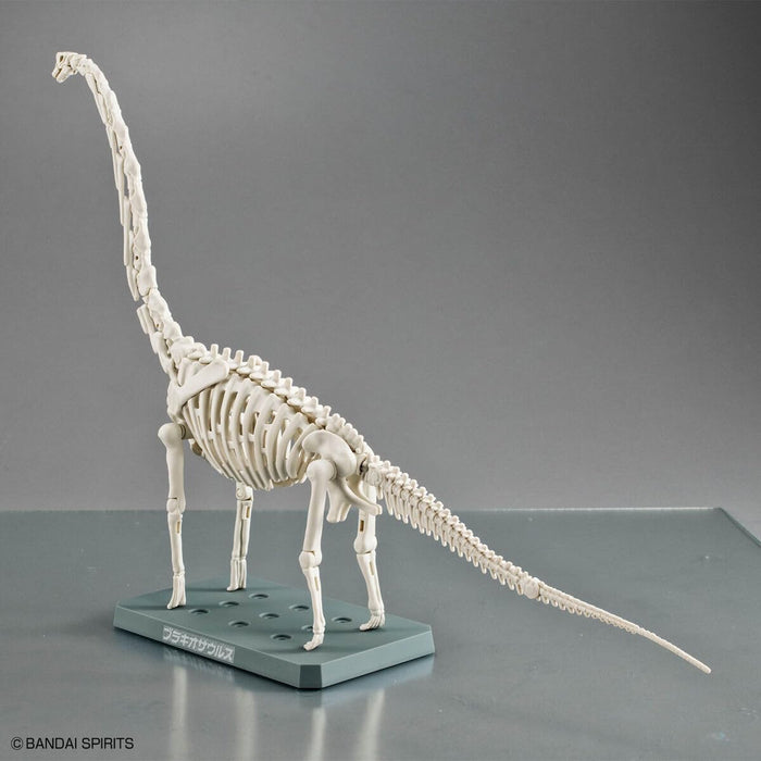 Bandai Plannosaurus Brachiosaurus Dinosaur Toy for Kids Educational Figure- Japan Figure Store - #1 Bring To You The Best Japanese Goods