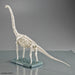 Bandai Plannosaurus Brachiosaurus Dinosaur Toy for Kids Educational Figure- Japan Figure Store - #1 Bring To You The Best Japanese Goods