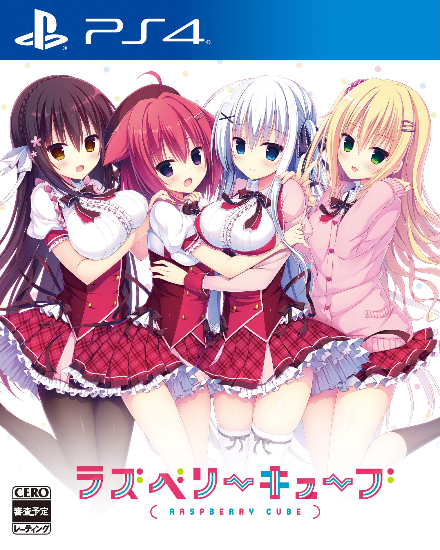 Raspberry Cube Standard Edition for PS4 - Ultimate Gaming Experience- Japan Figure Store - #1 Bring To You The Best Japanese Goods