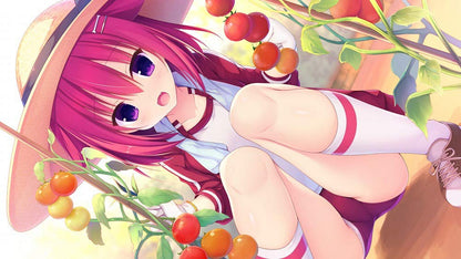 Raspberry Cube Standard Edition for PS4 - Ultimate Gaming Experience- Japan Figure Store - #1 Bring To You The Best Japanese Goods