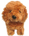 Sanei Boeki Graceful Dog Toy Poodle S Apricot Standing Plush 24cm- Japan Figure Store - #1 Bring To You The Best Japanese Goods