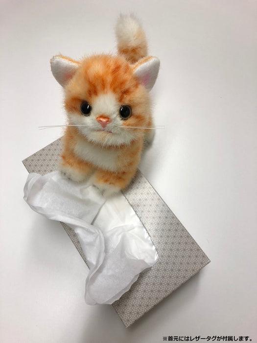 Sanei Boeki Graceful Kitten Miiya Gold Plush Toy 15Cm Made In Japan- Japan Figure Store - #1 Bring To You The Best Japanese Goods
