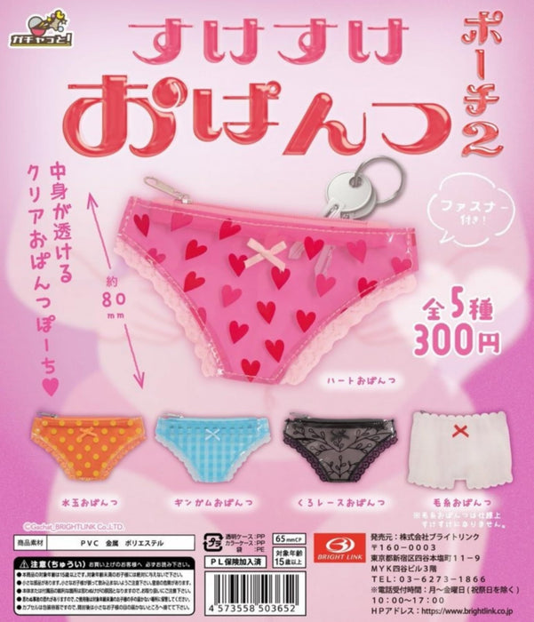 Bright Link See Through Panty Pouch 2-Pack Breathable Travel Organizer- Japan Figure Store - #1 Bring To You The Best Japanese Goods