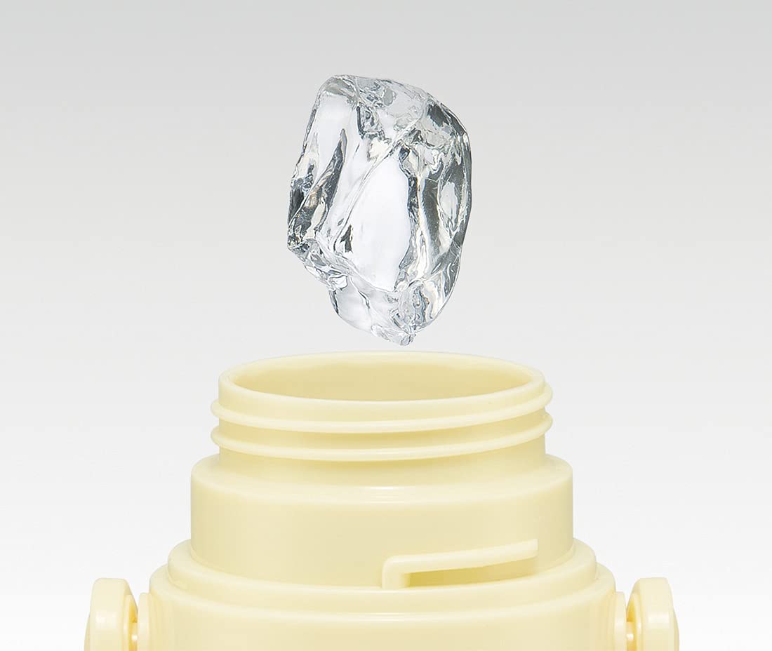 Skater Totoro Kids Water Bottle Stainless Steel 570ml with Cup Ghibli Vegetable Colors- Japan Figure Store - #1 Bring To You The Best Japanese Goods