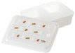 Skater Miffy 1-Tier Bento Box 850ml Ag+ Antibacterial Gasket - Soft Serving Pas9Ag-A- Japan Figure Store - #1 Bring To You The Best Japanese Goods
