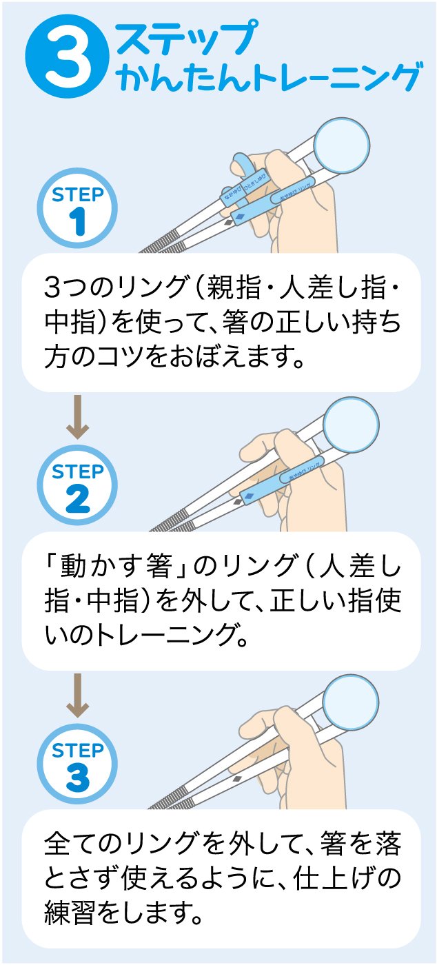 Skater Baby Shark 14cm Right-Handed Children's Training Chopsticks for Ages 2-7 Easy-Pickup Square Tips- Japan Figure Store - #1 Bring To You The Best Japanese Goods