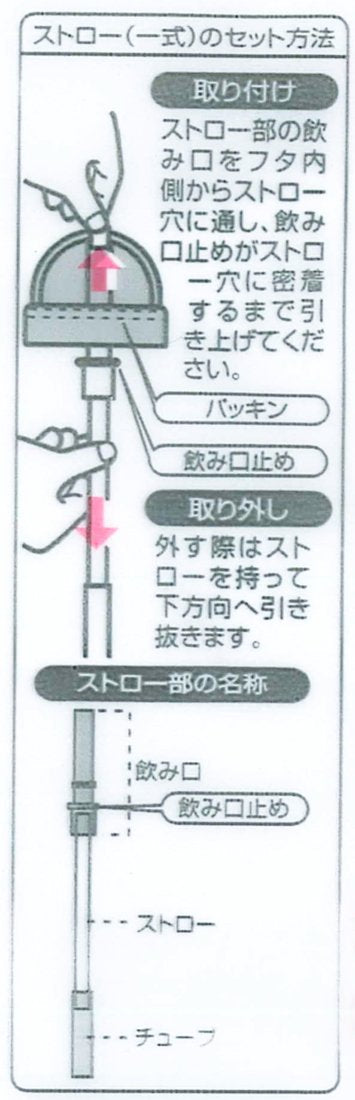 Skater Hello Kitty 350ml Die-Cut Straw-Style Water Bottle - Pbs3St-A- Japan Figure Store - #1 Bring To You The Best Japanese Goods