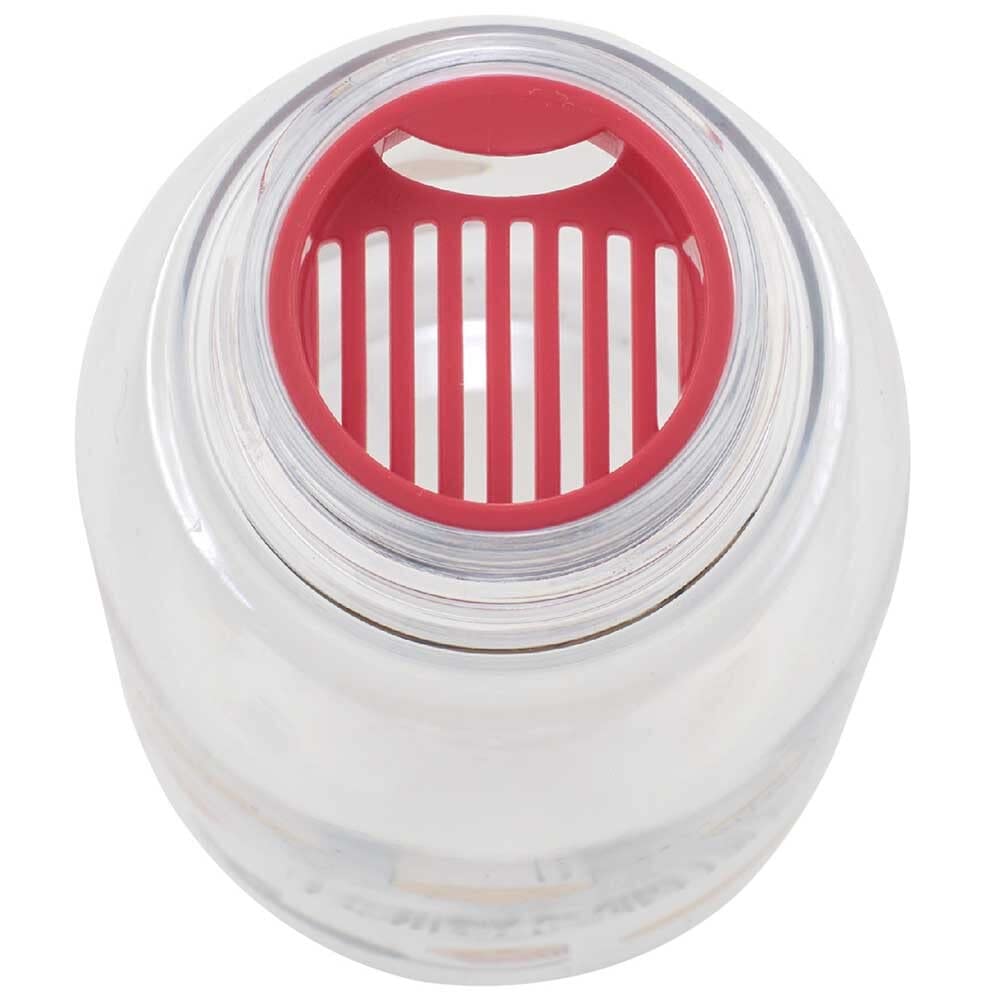 Skater 500ml Direct Drinking Water Bottle with Tea Strainer - Kiki's Delivery Service Ghibli- Japan Figure Store - #1 Bring To You The Best Japanese Goods