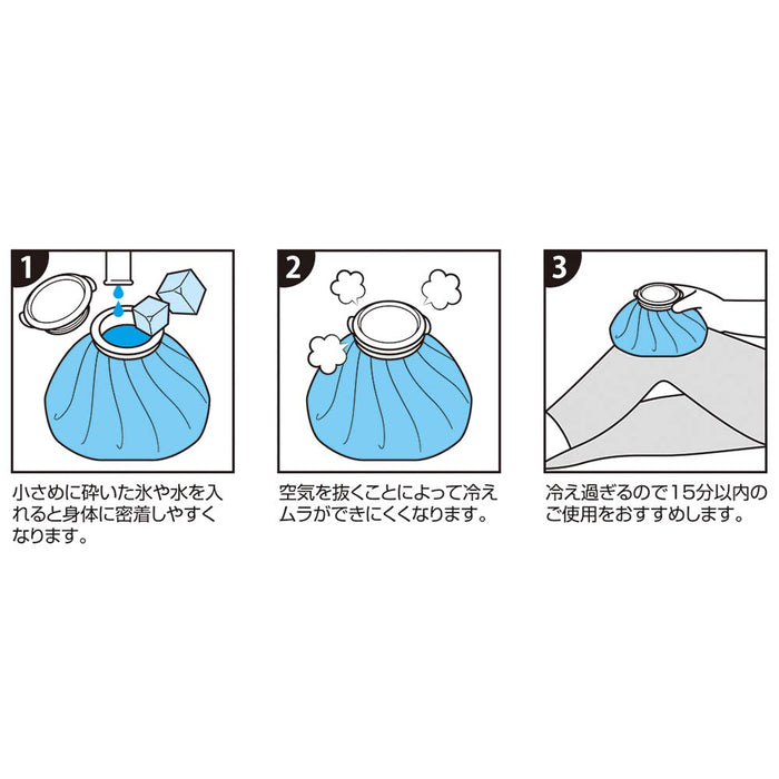 Skater Medium Ice Bag with Chip & Dale Disney Design 21cm Diameter- Japan Figure Store - #1 Bring To You The Best Japanese Goods