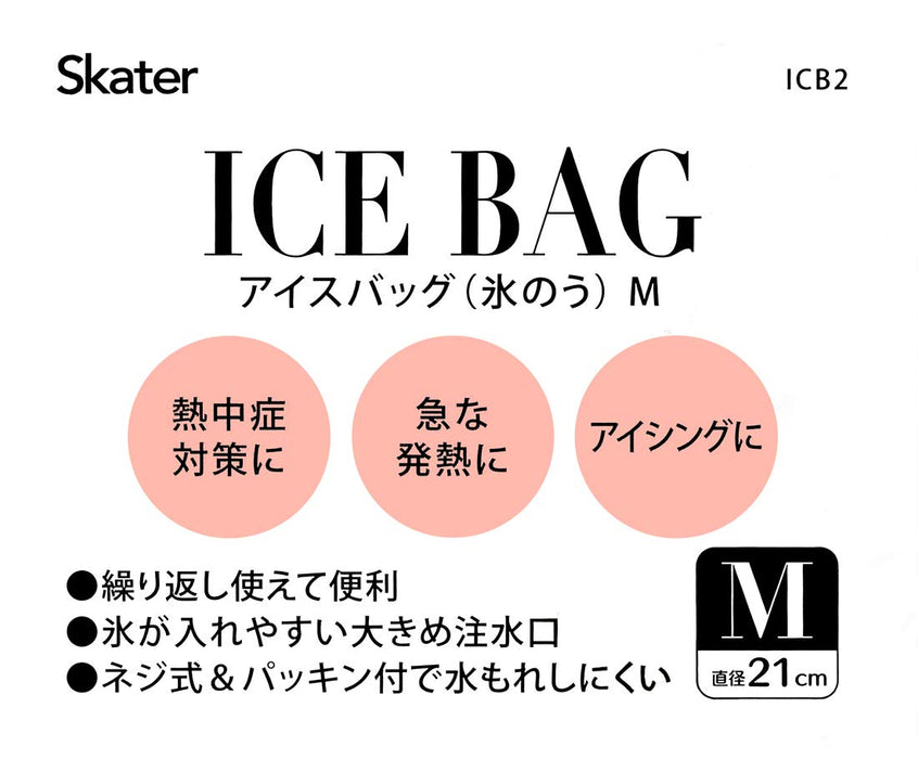 Skater Medium Ice Bag - 21cm Ice Pack Refill by Skater- Japan Figure Store - #1 Bring To You The Best Japanese Goods