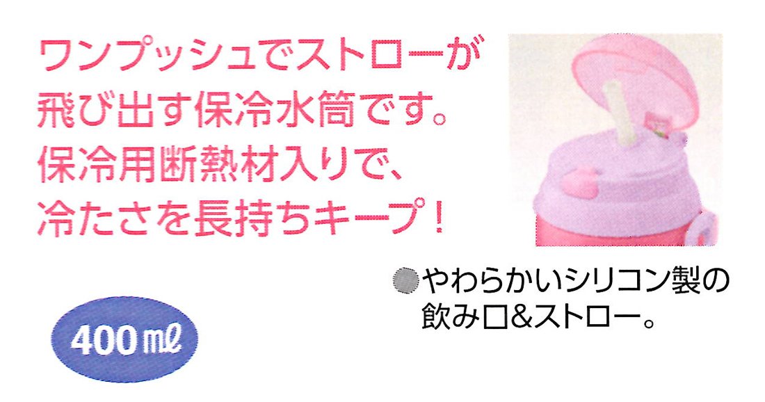 Skater Dinosaur 400ml Insulated Water Bottle with Straw- Japan Figure Store - #1 Bring To You The Best Japanese Goods