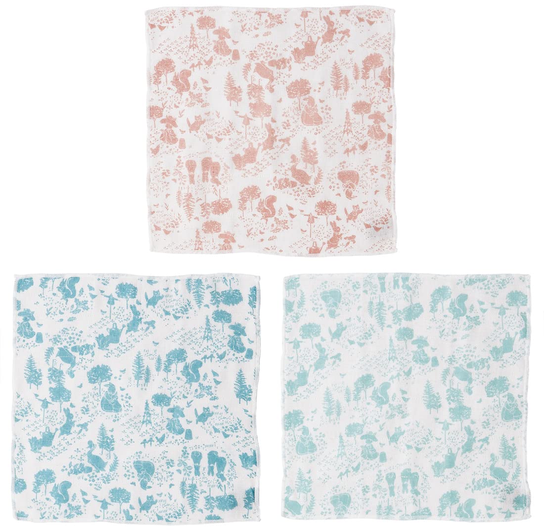 Skater Peter Rabbit Kaya Fabric Dishcloth 30x30cm 3-Pack- Japan Figure Store - #1 Bring To You The Best Japanese Goods