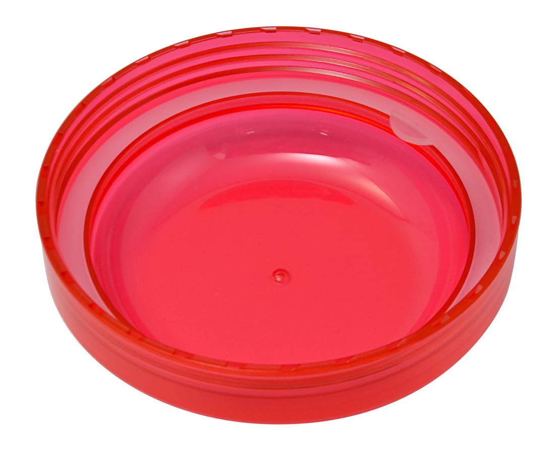 Skater Hello Kitty Slim Lightweight Lunch Box 600Ml with Cup-Shaped Handle I'M Kt- Japan Figure Store - #1 Bring To You The Best Japanese Goods