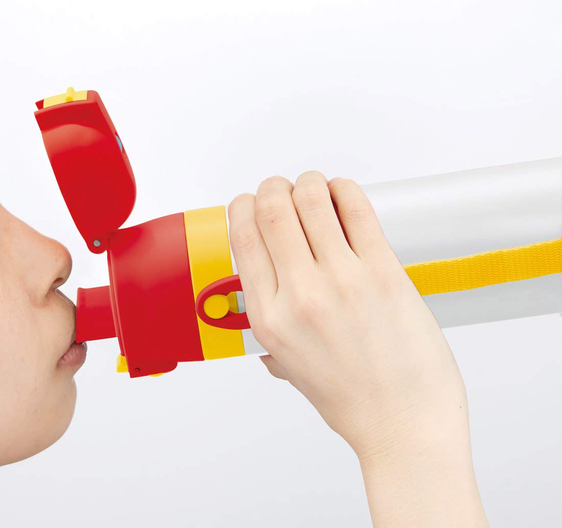 Skater Snoopy Peanuts Friends Kids 470ml Stainless Steel Sports Water Bottle- Japan Figure Store - #1 Bring To You The Best Japanese Goods