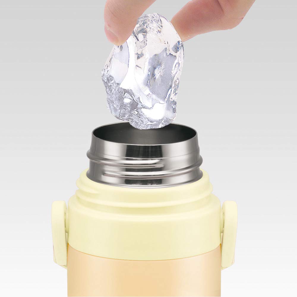 Skater Totoro Vegetable Color Ghibli 470ml Stainless Steel Children's Water Bottle- Japan Figure Store - #1 Bring To You The Best Japanese Goods