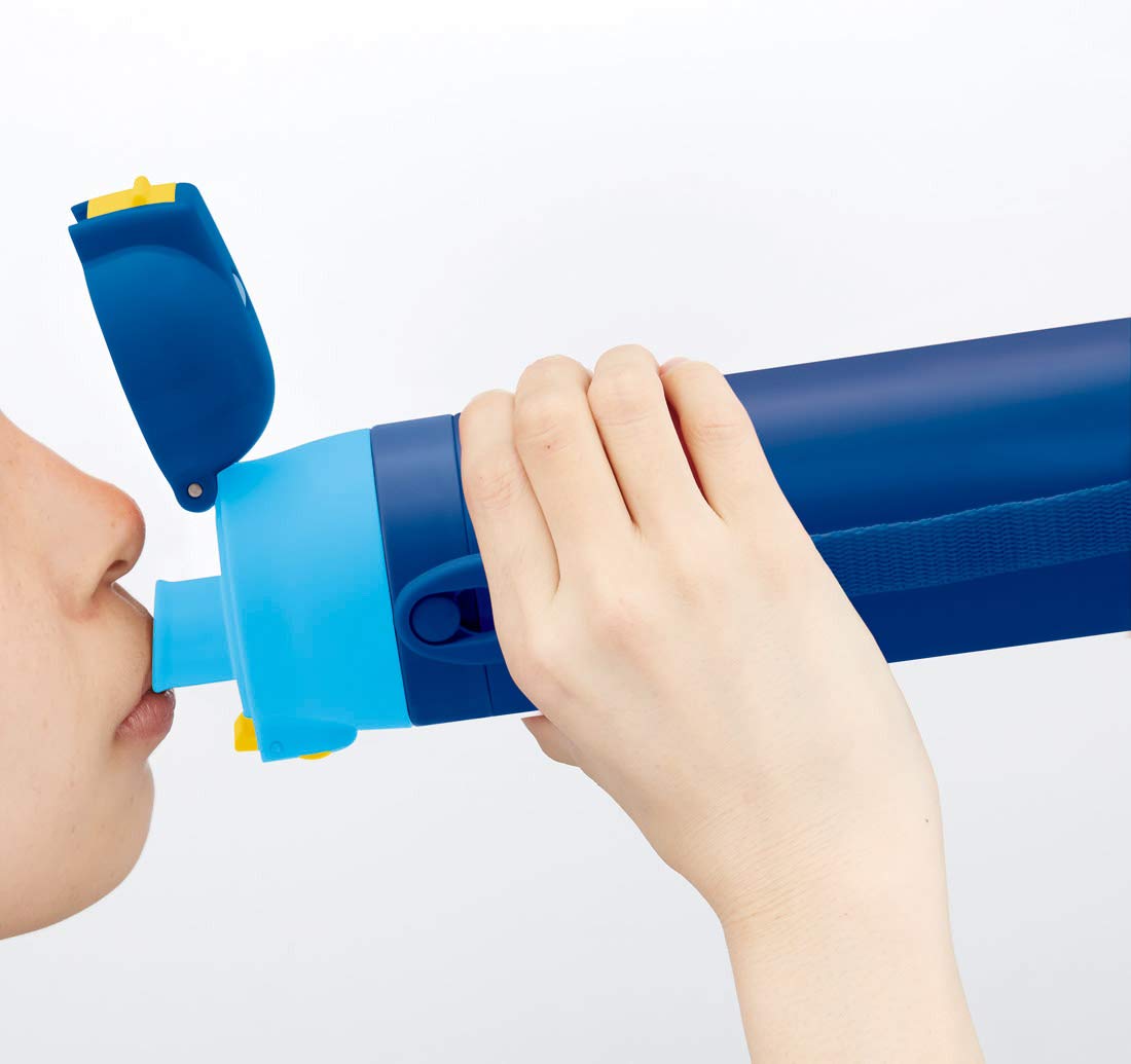 Skater 470ml Stainless Steel Sports Water Bottle for Kids Comic Star Design- Japan Figure Store - #1 Bring To You The Best Japanese Goods