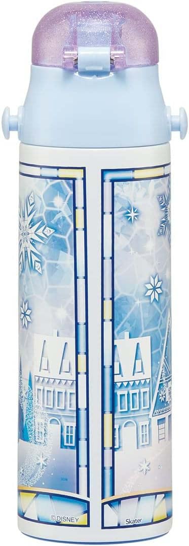 Skater Disney Frozen Stainless Steel Sports Water Bottle for Girls 580ml- Japan Figure Store - #1 Bring To You The Best Japanese Goods