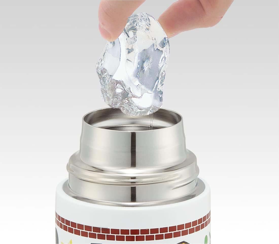 Skater Stainless Steel Super Mario Sports Water Bottle Direct Drinking 580ml- Japan Figure Store - #1 Bring To You The Best Japanese Goods