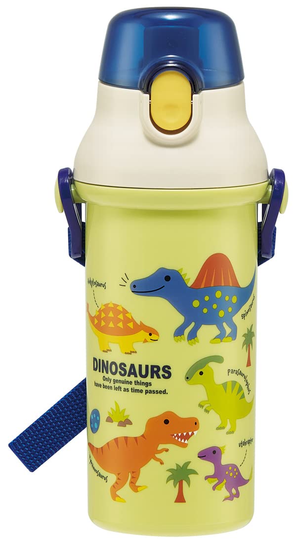 Skater Dinosaur 480ml Antibacterial Plastic Water Bottle for Boys Kids Made in Japan- Japan Figure Store - #1 Bring To You The Best Japanese Goods