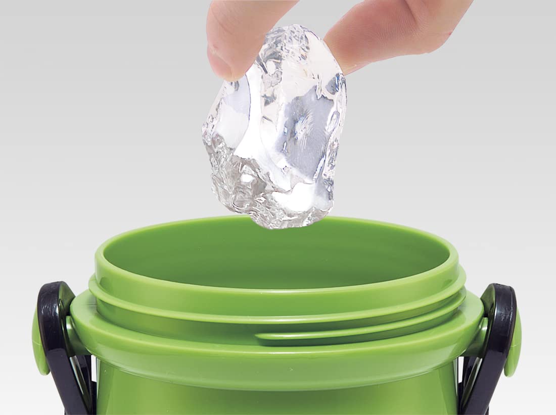 Skater Kids 480ml Antibacterial Minecraft Water Bottle Plastic Made in Japan- Japan Figure Store - #1 Bring To You The Best Japanese Goods