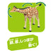 Takara Tomy Ania Al-30 Reticulated Giraffe Toy for Ages 3+- Japan Figure Store - #1 Bring To You The Best Japanese Goods