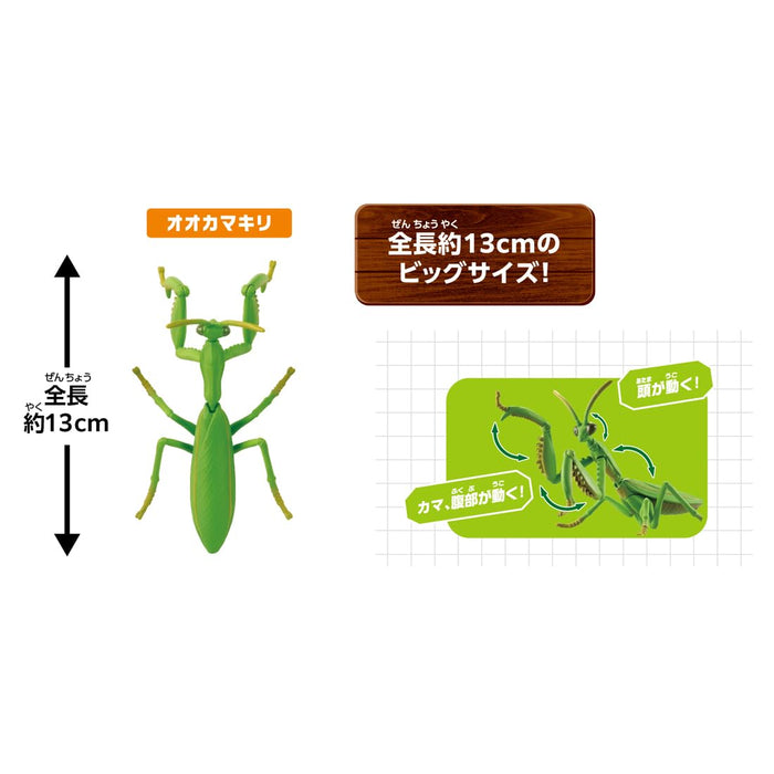 Takara Tomy Ania Nature's Strongest Creatures Set Dinosaur Toys for Ages 3+- Japan Figure Store - #1 Bring To You The Best Japanese Goods