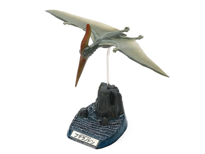 Tamiya 1/35 Pteranodon Model Kit Plastic Dinosaur Series 60204- Japan Figure Store - #1 Bring To You The Best Japanese Goods
