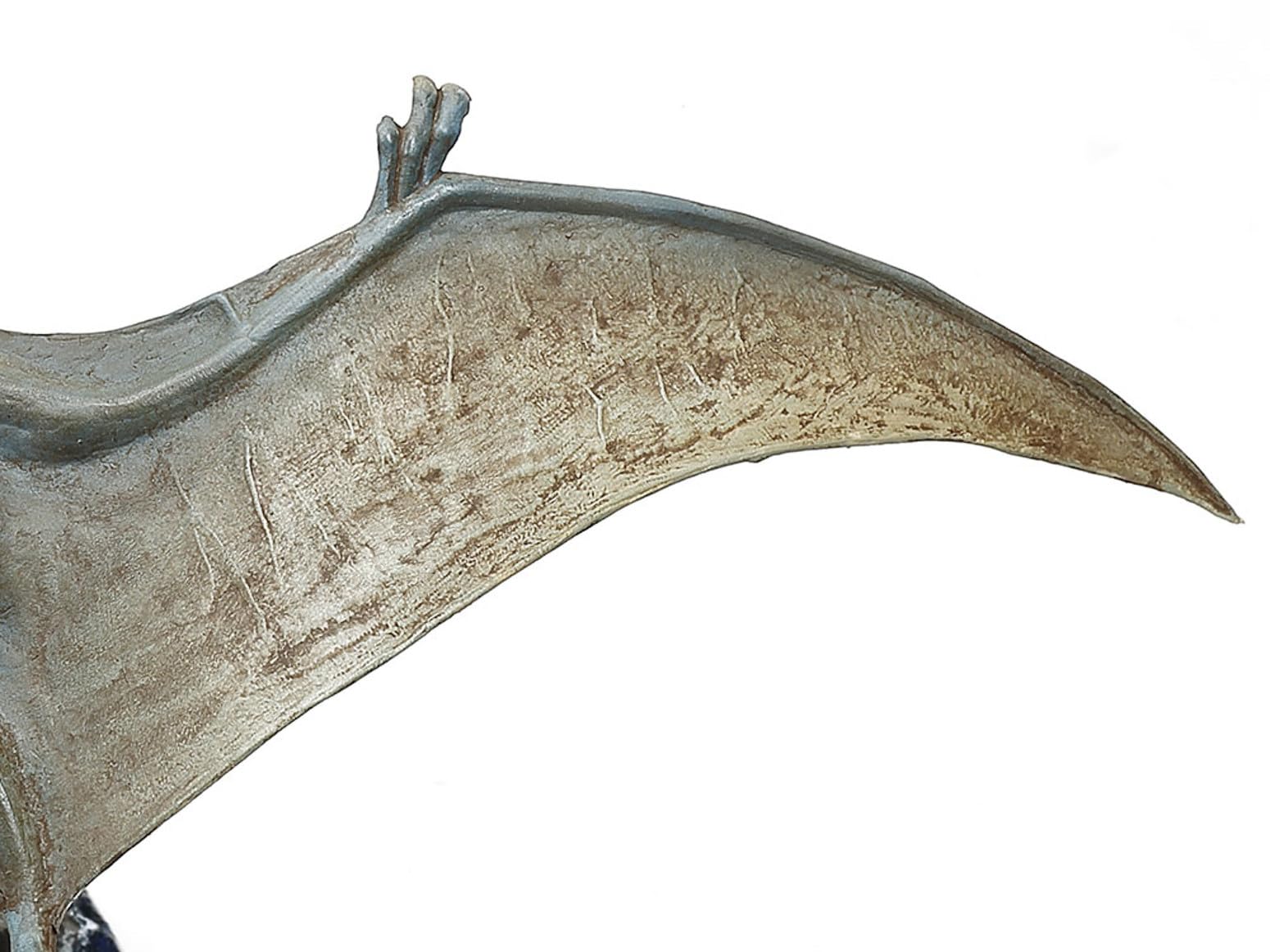 Tamiya 1/35 Pteranodon Model Kit Plastic Dinosaur Series 60204- Japan Figure Store - #1 Bring To You The Best Japanese Goods