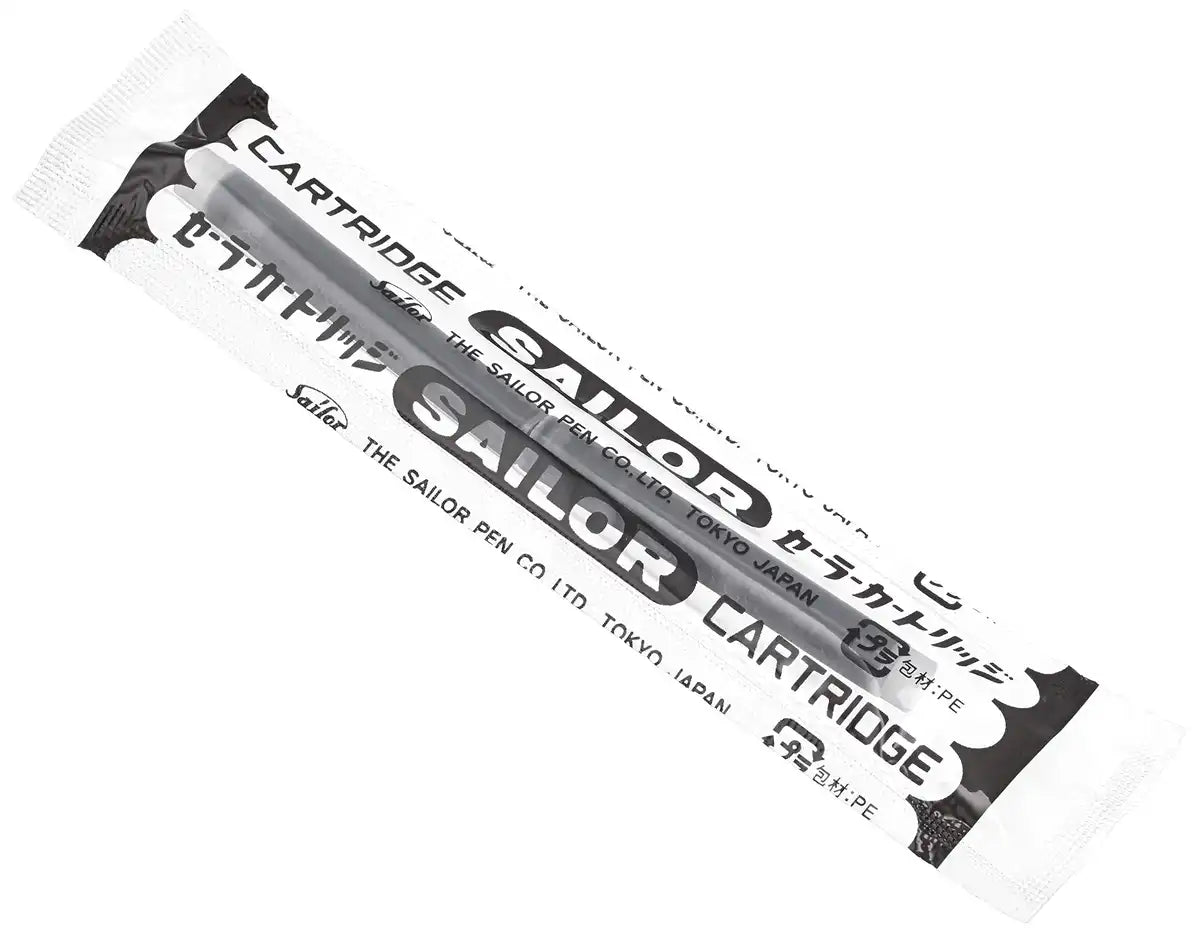 SAILOR Profit 21 Fountain Pen We Z 11-2021-710- Japan Figure Store - #1 Bring To You The Best Japanese Goods