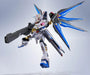 Tamashii Nations Metal Robot Spirits Strike Freedom Gundam Type 2