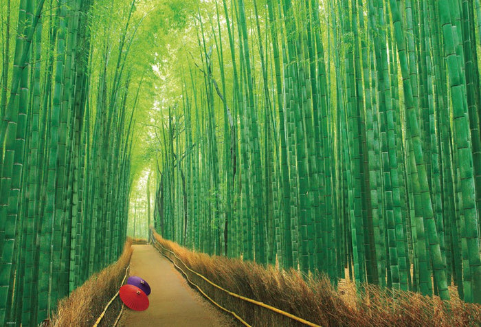BEVERLY Jigsaw Puzzle 51-229 Japanese Scenery Bamboo Forest Sagano Kyoto 1000 Pieces- Japan Figure Store - #1 Bring To You The Best Japanese Goods