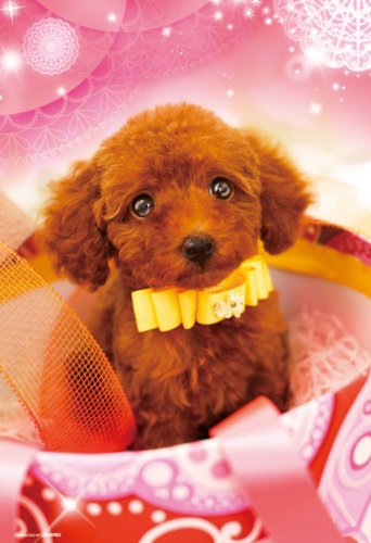 Beverly Jigsaw Puzzle P33-084 Pretty Pet Poodle (300 Pieces) Animal Puzzles- Japan Figure Store - #1 Bring To You The Best Japanese Goods
