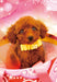 Beverly Jigsaw Puzzle P33-084 Pretty Pet Poodle (300 Pieces) Animal Puzzles- Japan Figure Store - #1 Bring To You The Best Japanese Goods