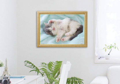 Beverly Jigsaw Puzzle P33-157 Pet Cat Nap Time (300 Pieces) Animal Jigsaw Puzzle- Japan Figure Store - #1 Bring To You The Best Japanese Goods