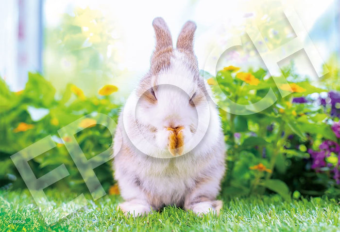 EPOCH 26-371S Jigsaw Puzzle Bunny Rabbit'S Morning Routine 300 Pieces- Japan Figure Store - #1 Bring To You The Best Japanese Goods