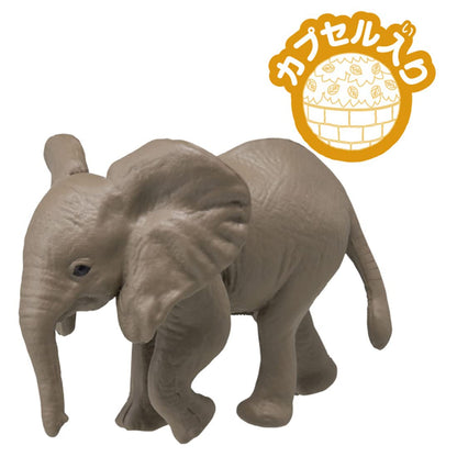 TAKARA TOMY Ania Ac-02 Baby Elephant- Japan Figure Store - #1 Bring To You The Best Japanese Goods