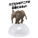 TAKARA TOMY Ania Ac-02 Baby Elephant- Japan Figure Store - #1 Bring To You The Best Japanese Goods