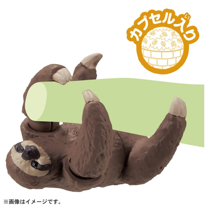 TAKARA TOMY Ania Ac-06 Baby Sloth- Japan Figure Store - #1 Bring To You The Best Japanese Goods