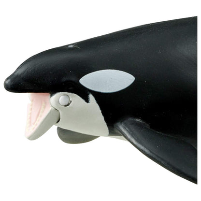 TAKARA TOMY Al-08 Animal Adventure Killer Whale Parent And Child Floating Version Figure- Japan Figure Store - #1 Bring To You The Best Japanese Goods